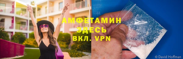 стаф Няндома