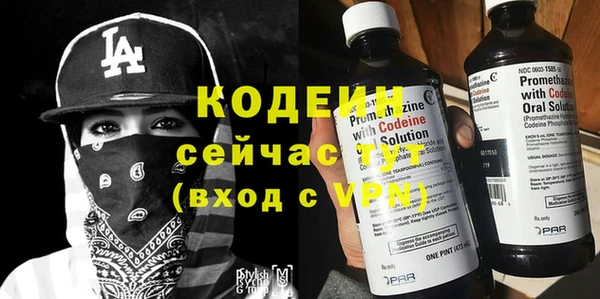 молекула духа Богданович