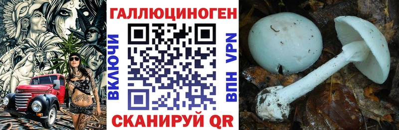Галлюциногенные грибы Cubensis  kraken ССЫЛКА  Волгореченск 